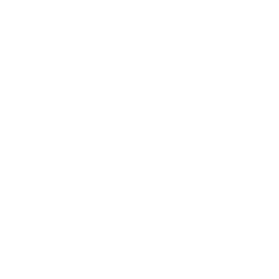 ca global